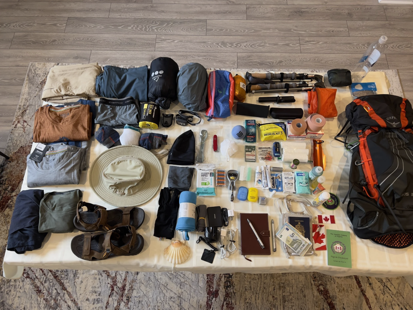 My Plan for walking the Camino Frances