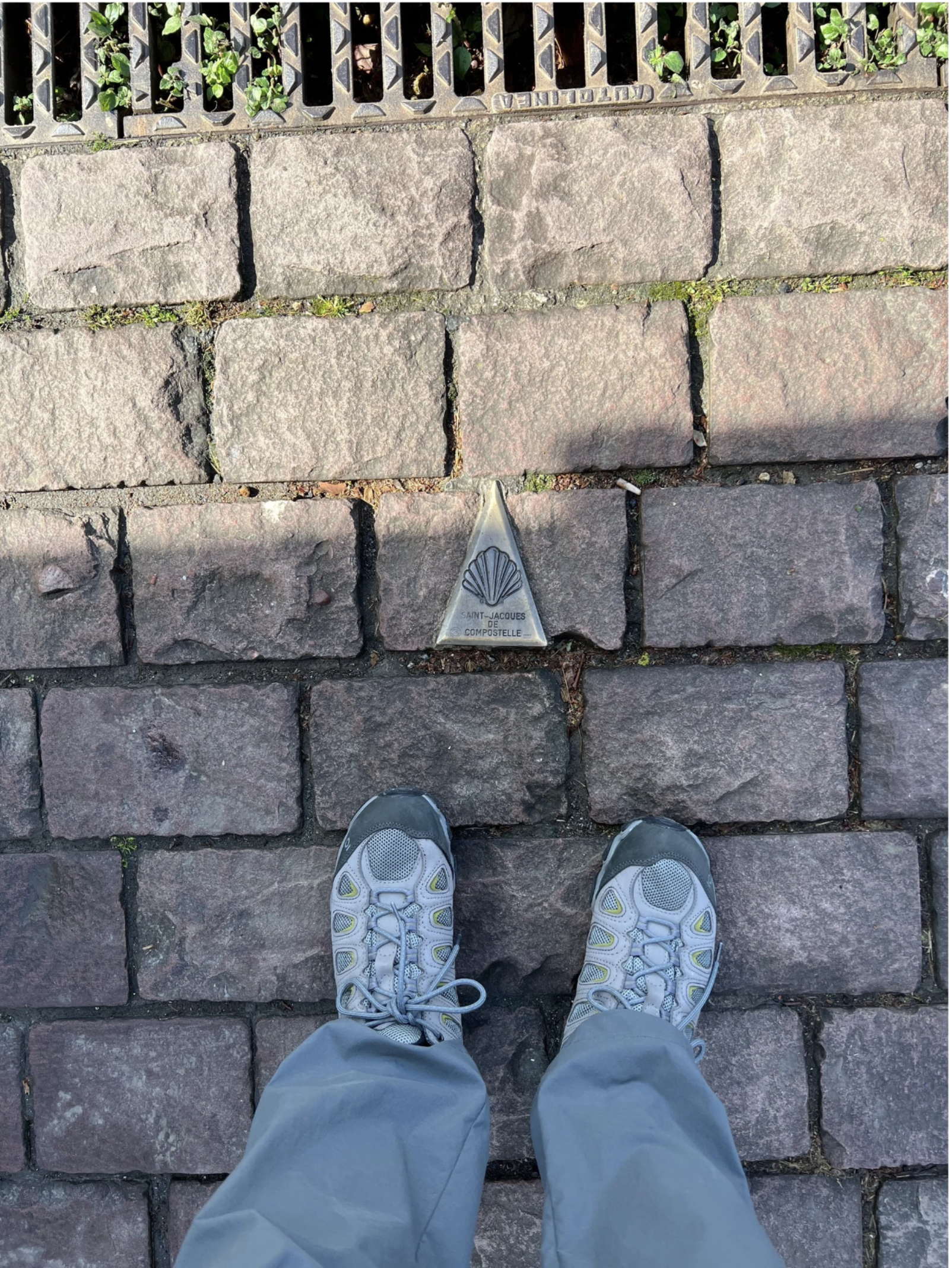 Screenshot 2026-03-09 at 4.22.54 PM.png