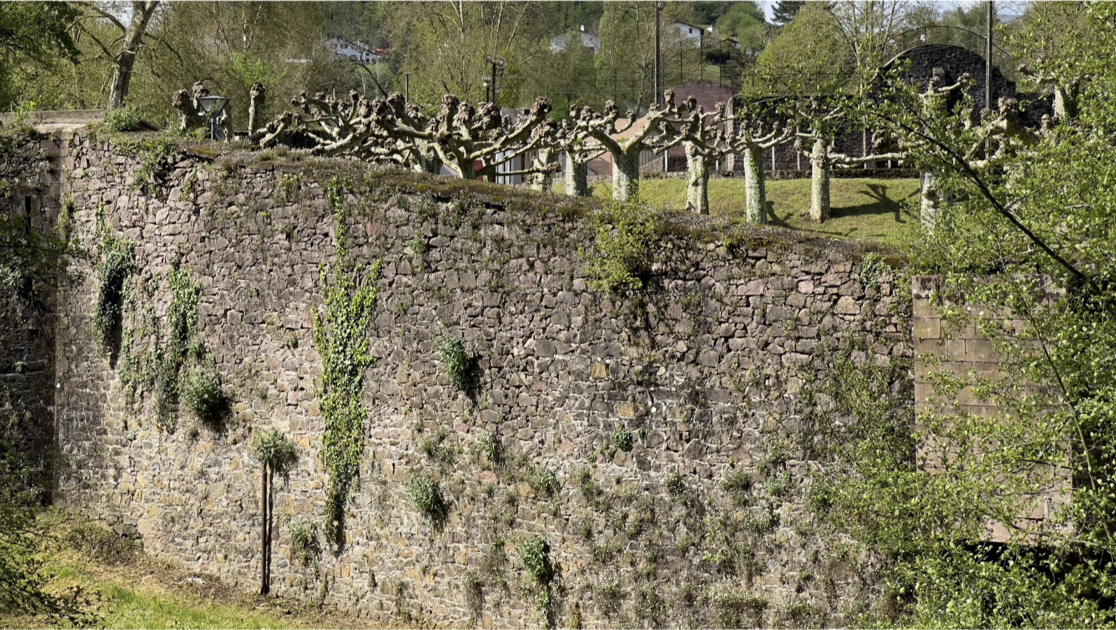 Screenshot 2026-03-09 at 4.26.51 PM.png