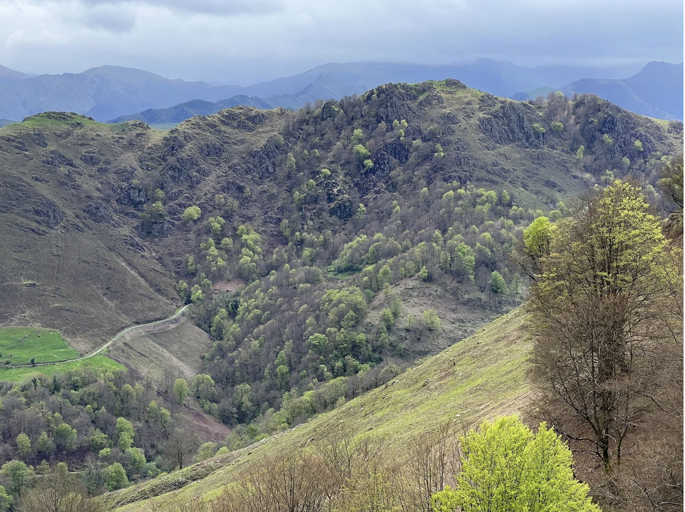 Screenshot 2026-03-09 at 4.31.52 PM.png