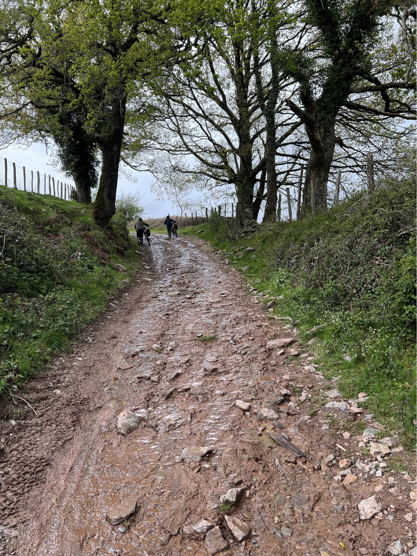 Screenshot 2026-03-09 at 4.32.16 PM.png