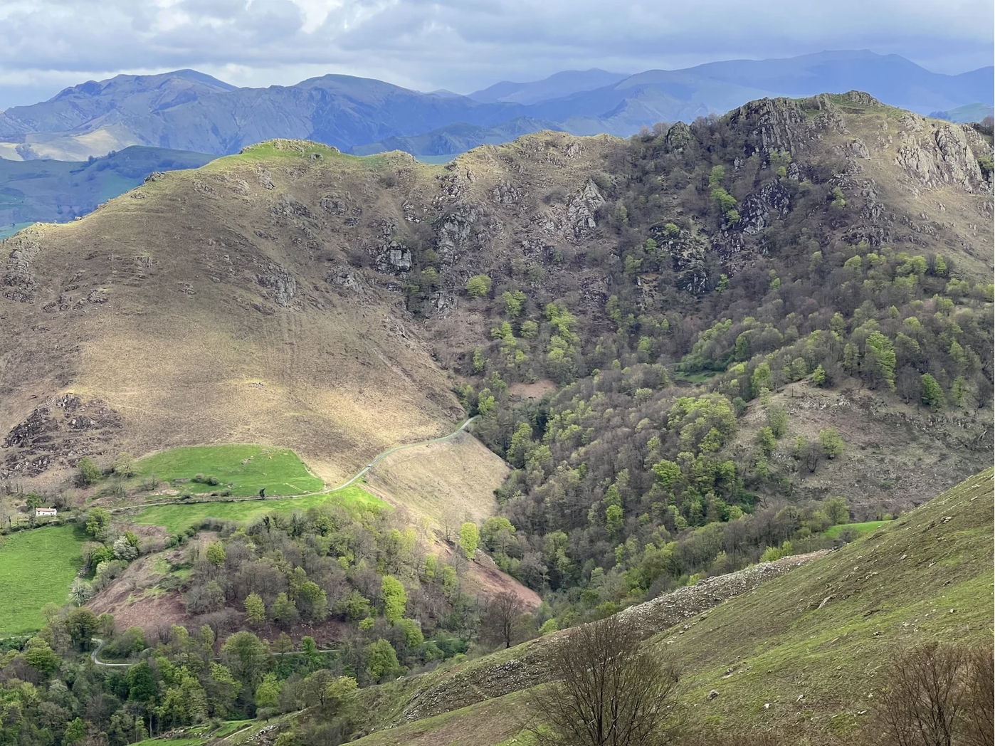 Screenshot 2026-03-09 at 4.33.09 PM.png