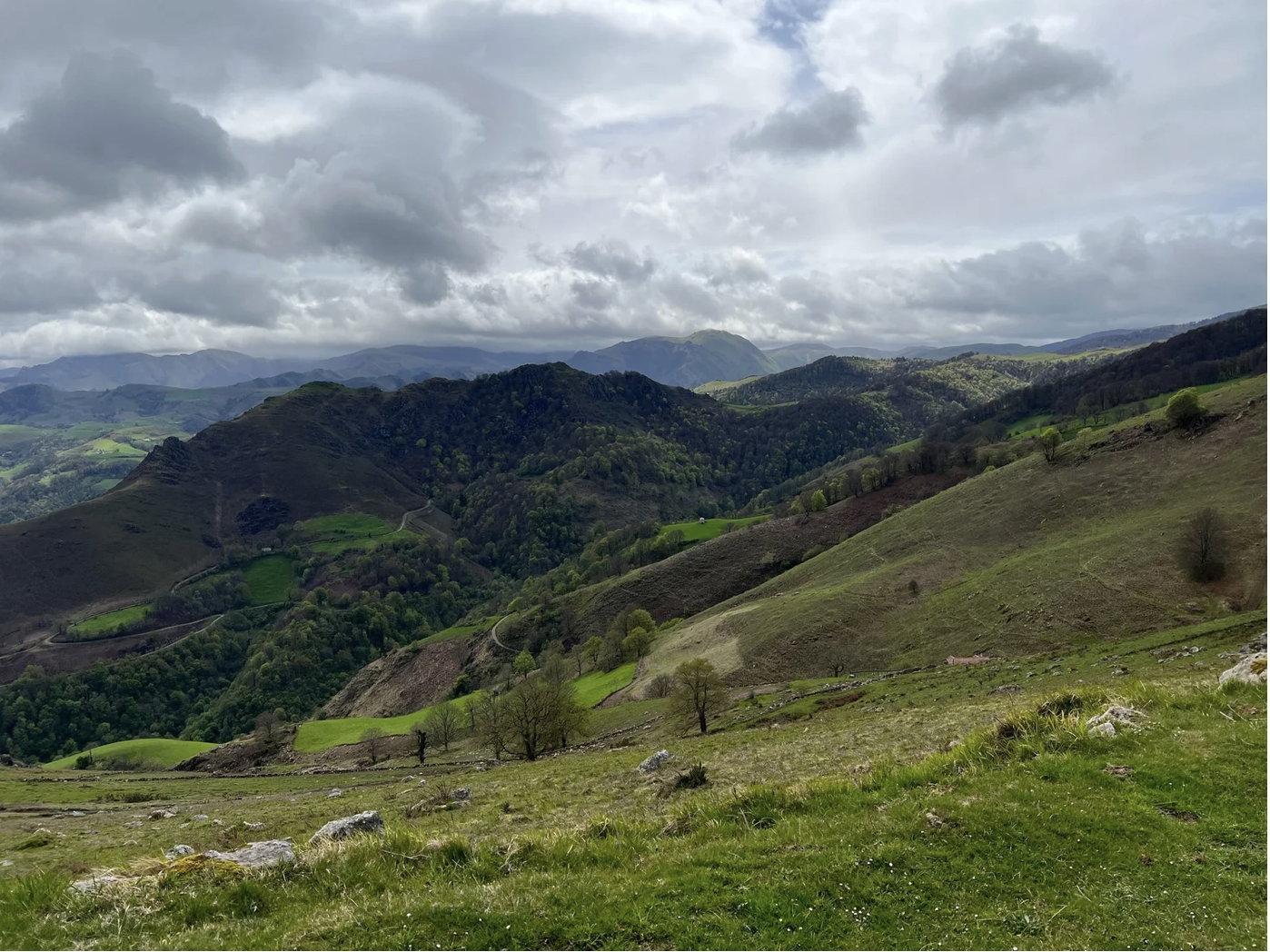 Screenshot 2026-03-09 at 4.33.57 PM.png