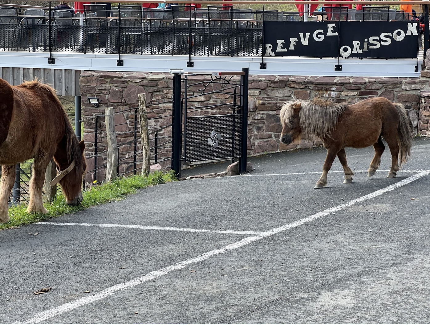 Screenshot 2026-03-09 at 4.34.19 PM.png