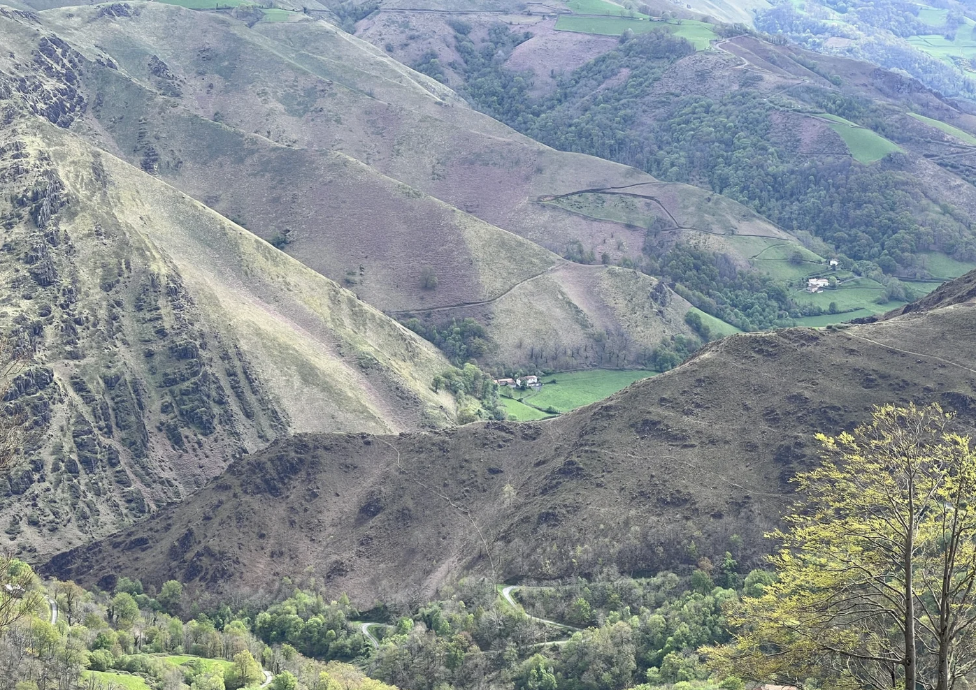 Screenshot 2026-03-09 at 4.38.53 PM.png