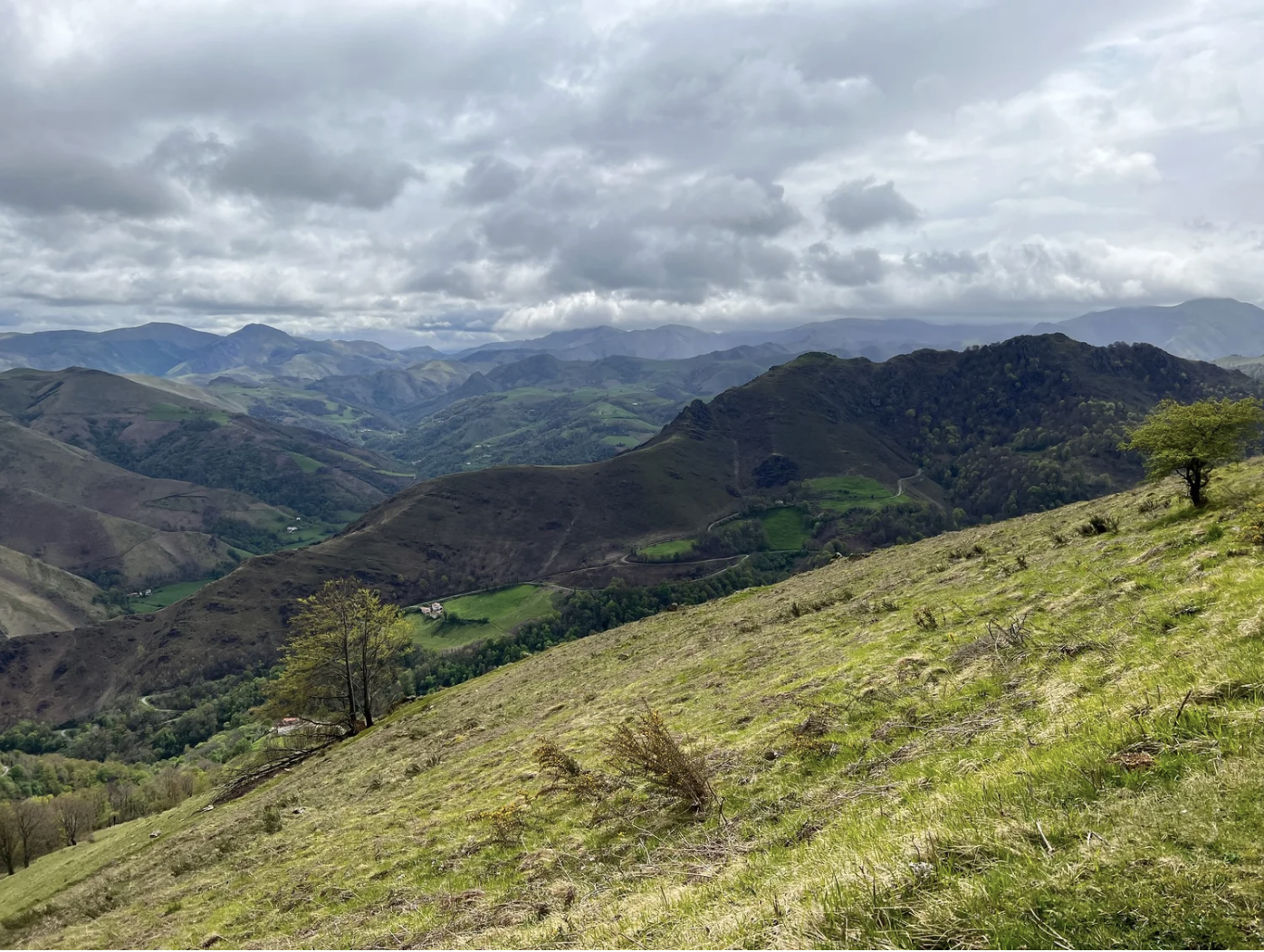 Screenshot 2026-03-09 at 4.39.08 PM.png