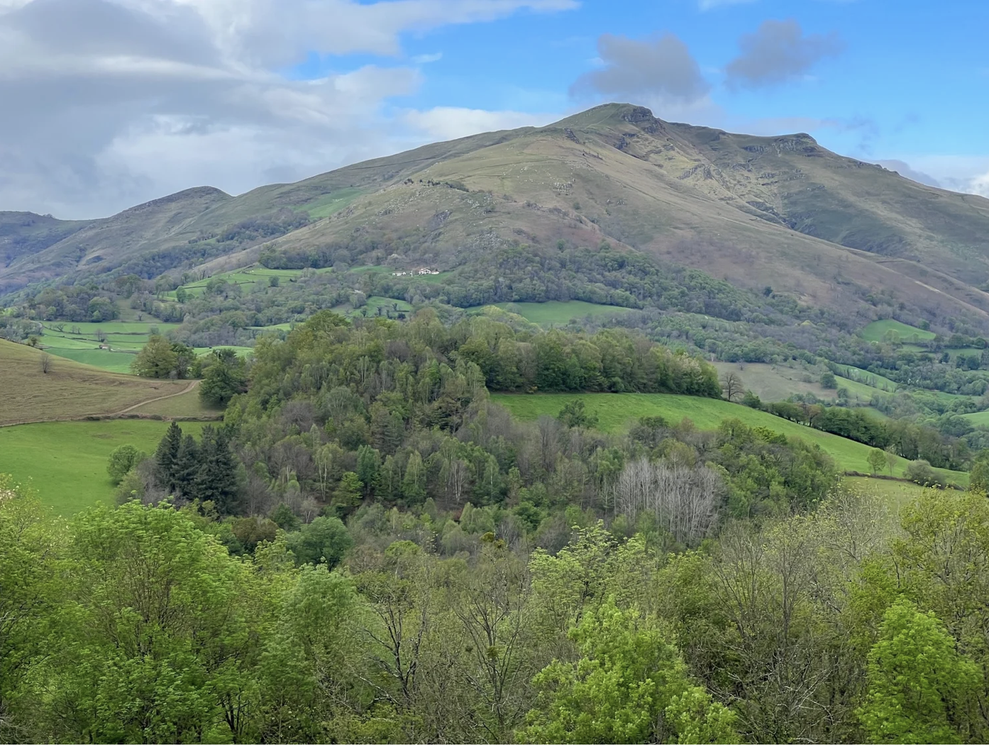 Screenshot 2026-03-09 at 4.44.38 PM.png