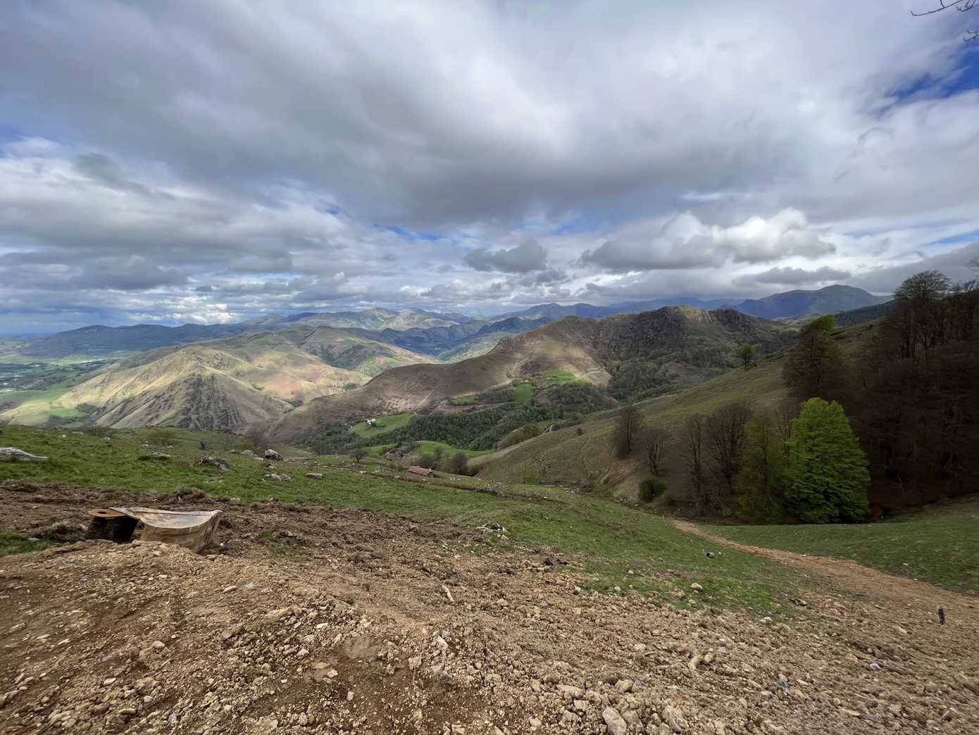 Screenshot 2026-03-09 at 4.56.15 PM.png