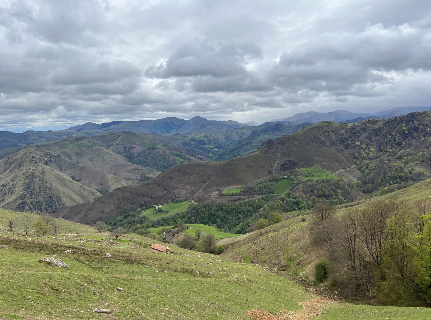 Screenshot 2026-03-09 at 4.56.56 PM.png