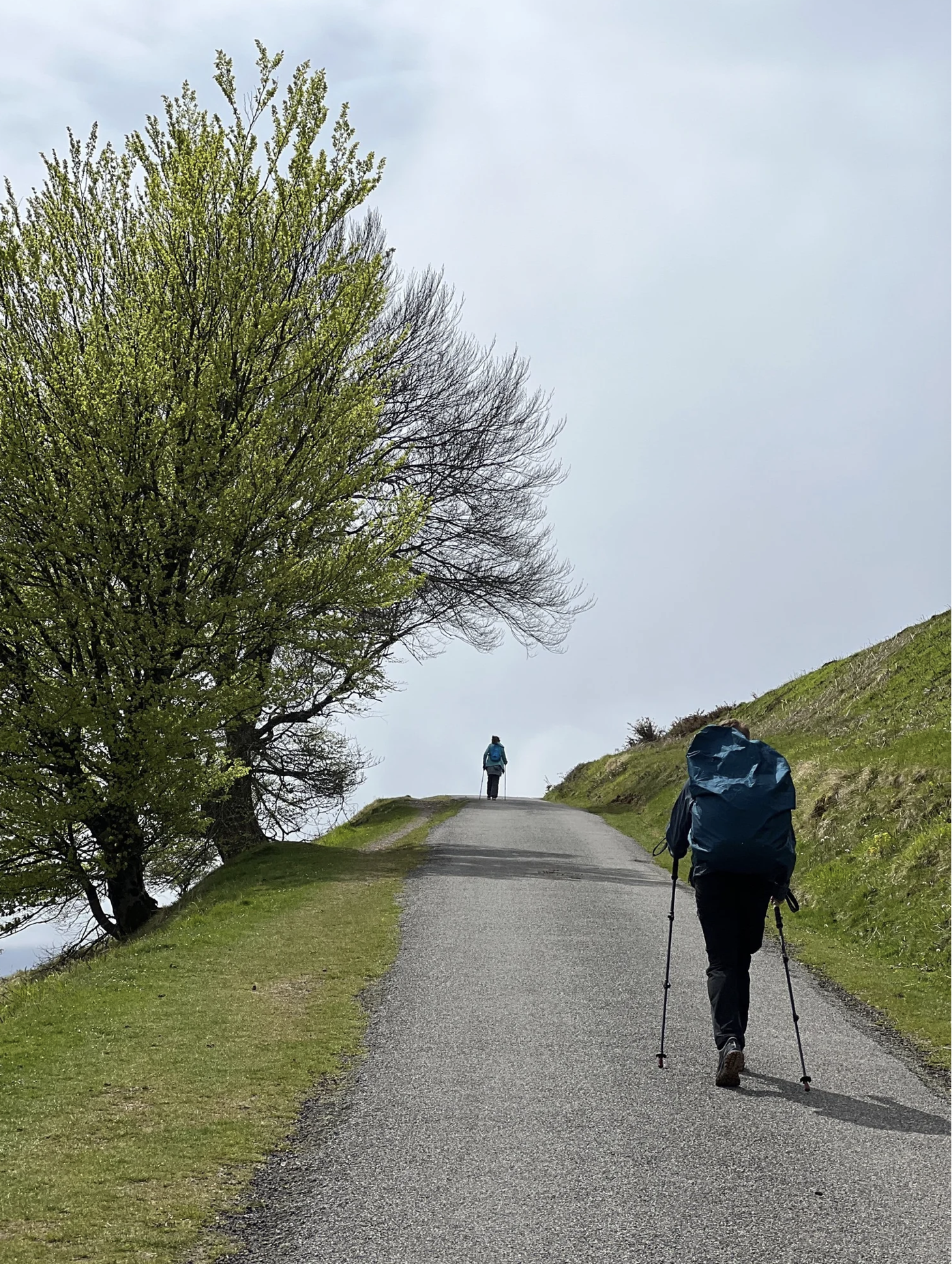 Screenshot 2026-03-09 at 4.57.28 PM.png