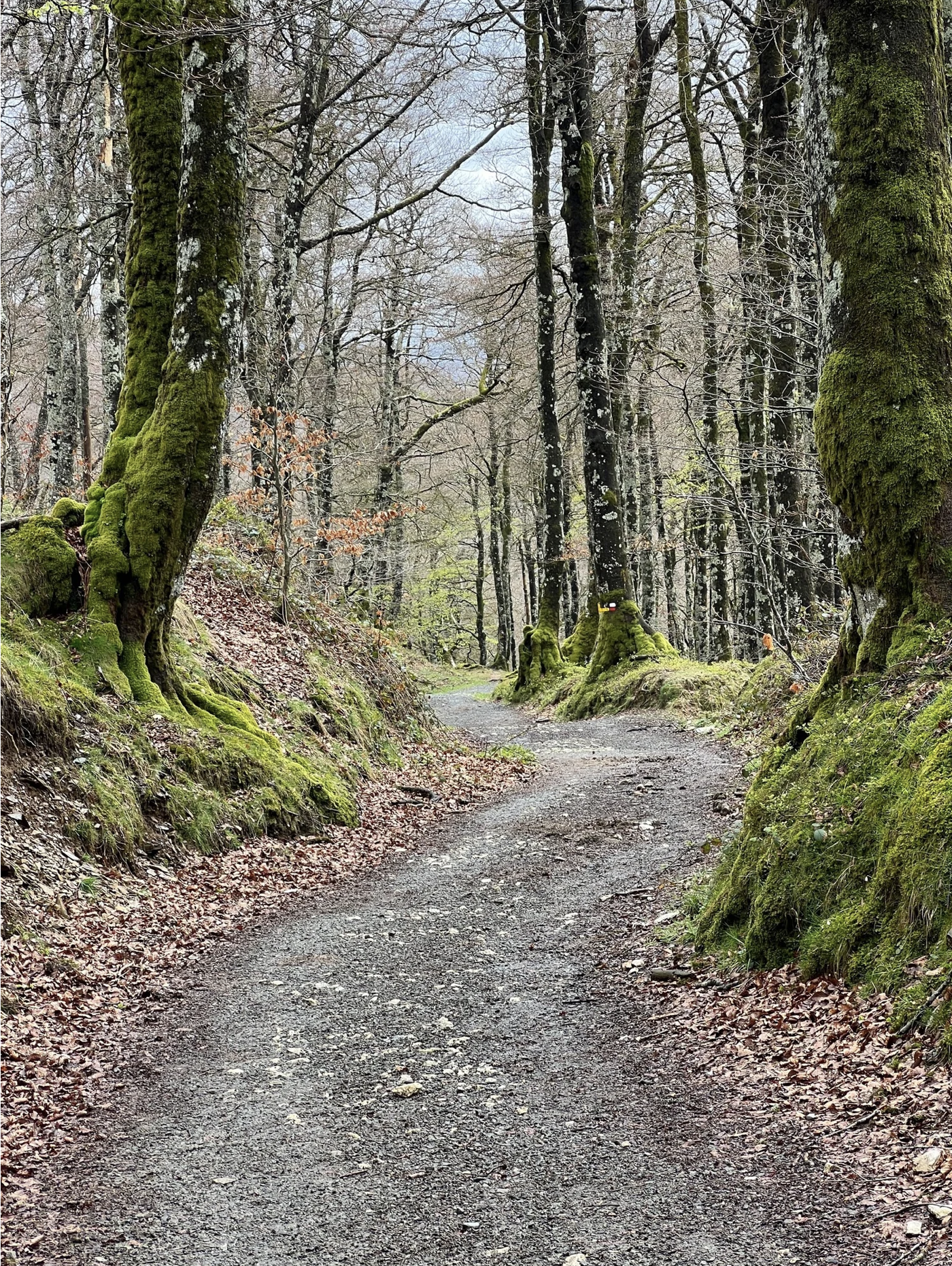 Screenshot 2026-03-09 at 5.02.44 PM.png