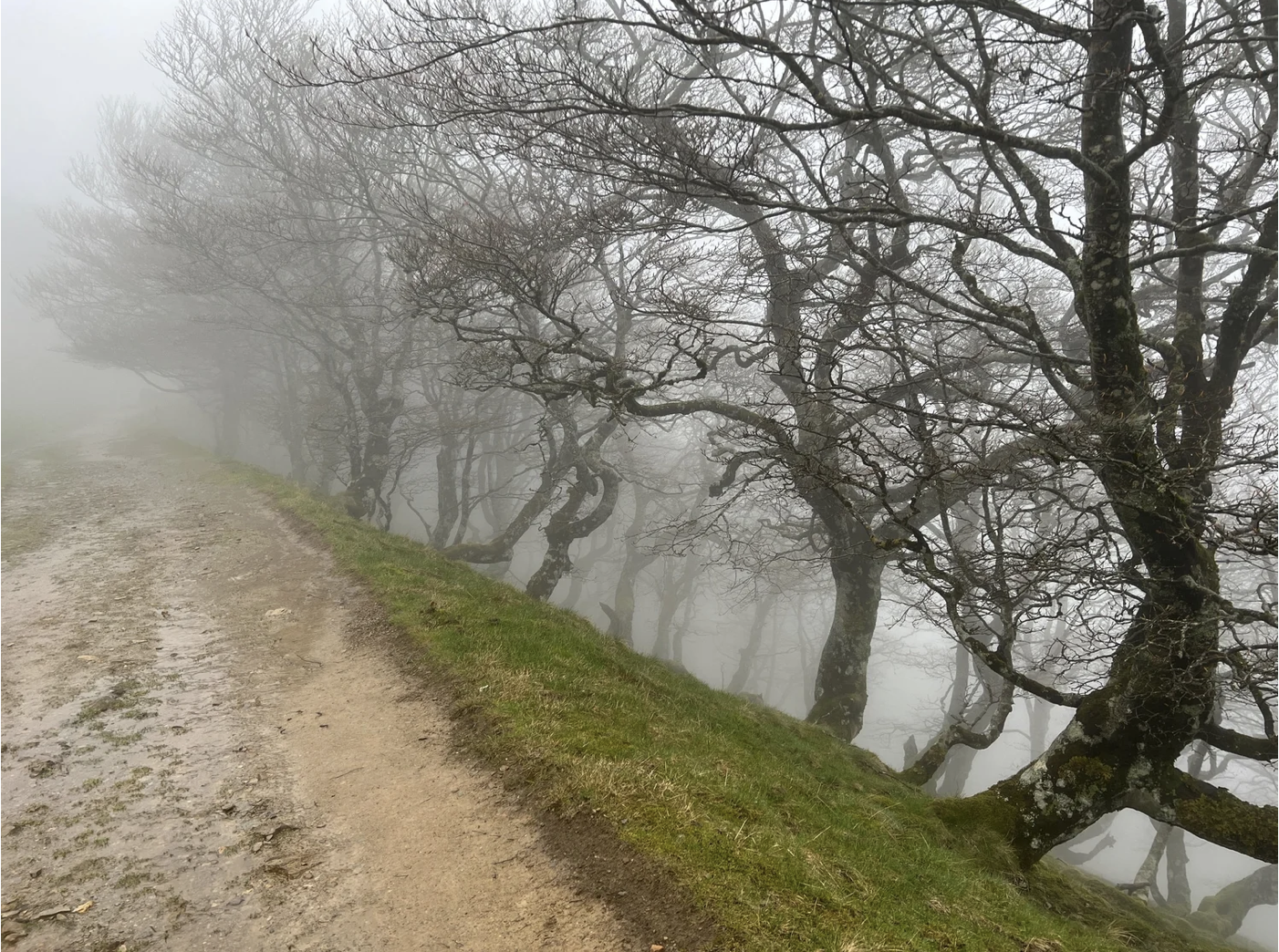 Screenshot 2026-03-09 at 5.03.14 PM.png