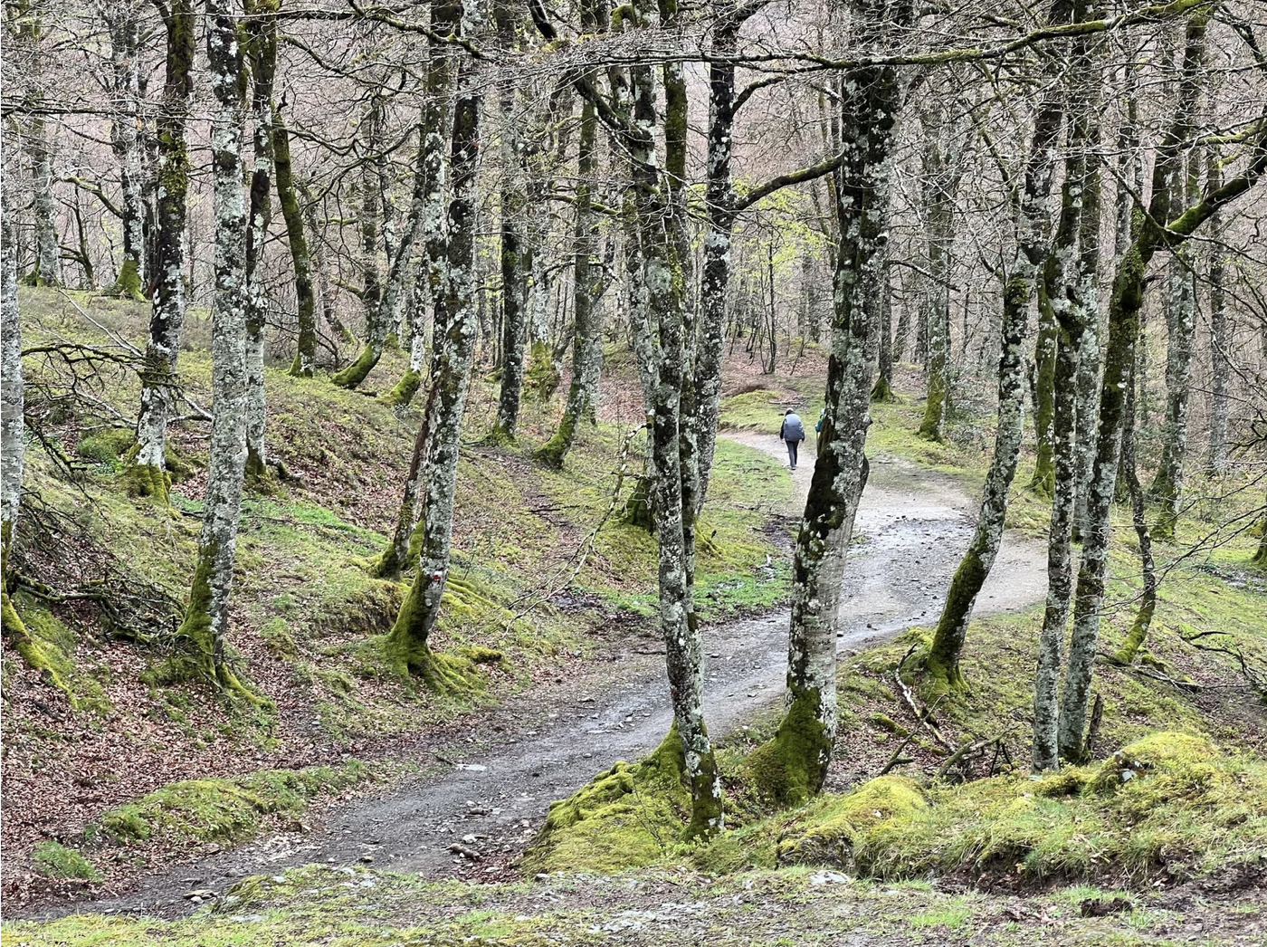 Screenshot 2026-03-09 at 5.03.26 PM.png