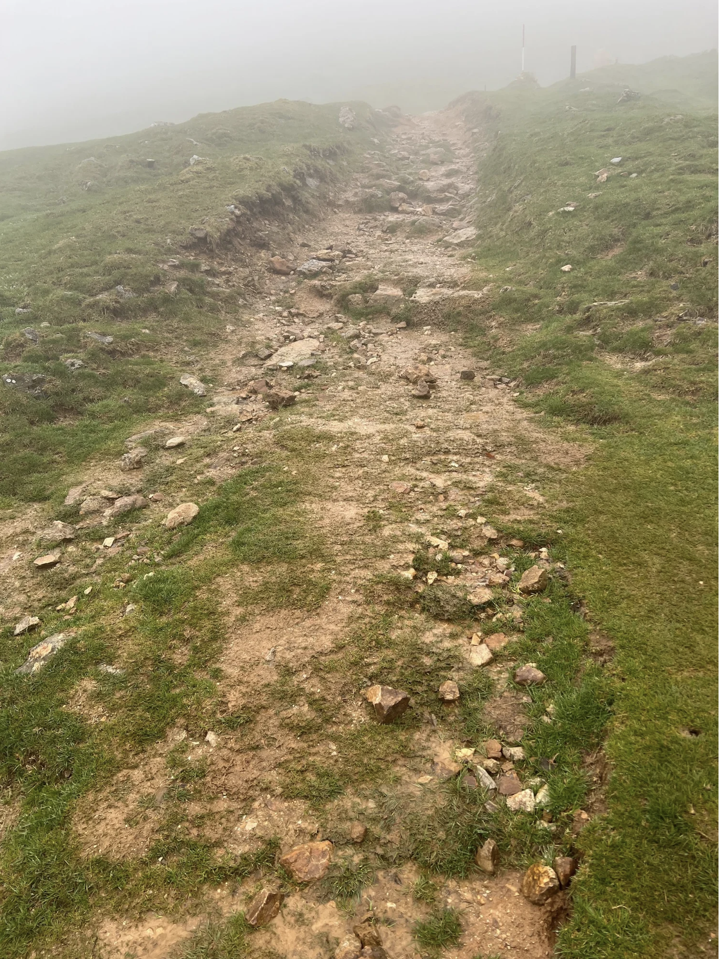 Screenshot 2026-03-09 at 5.03.40 PM.png