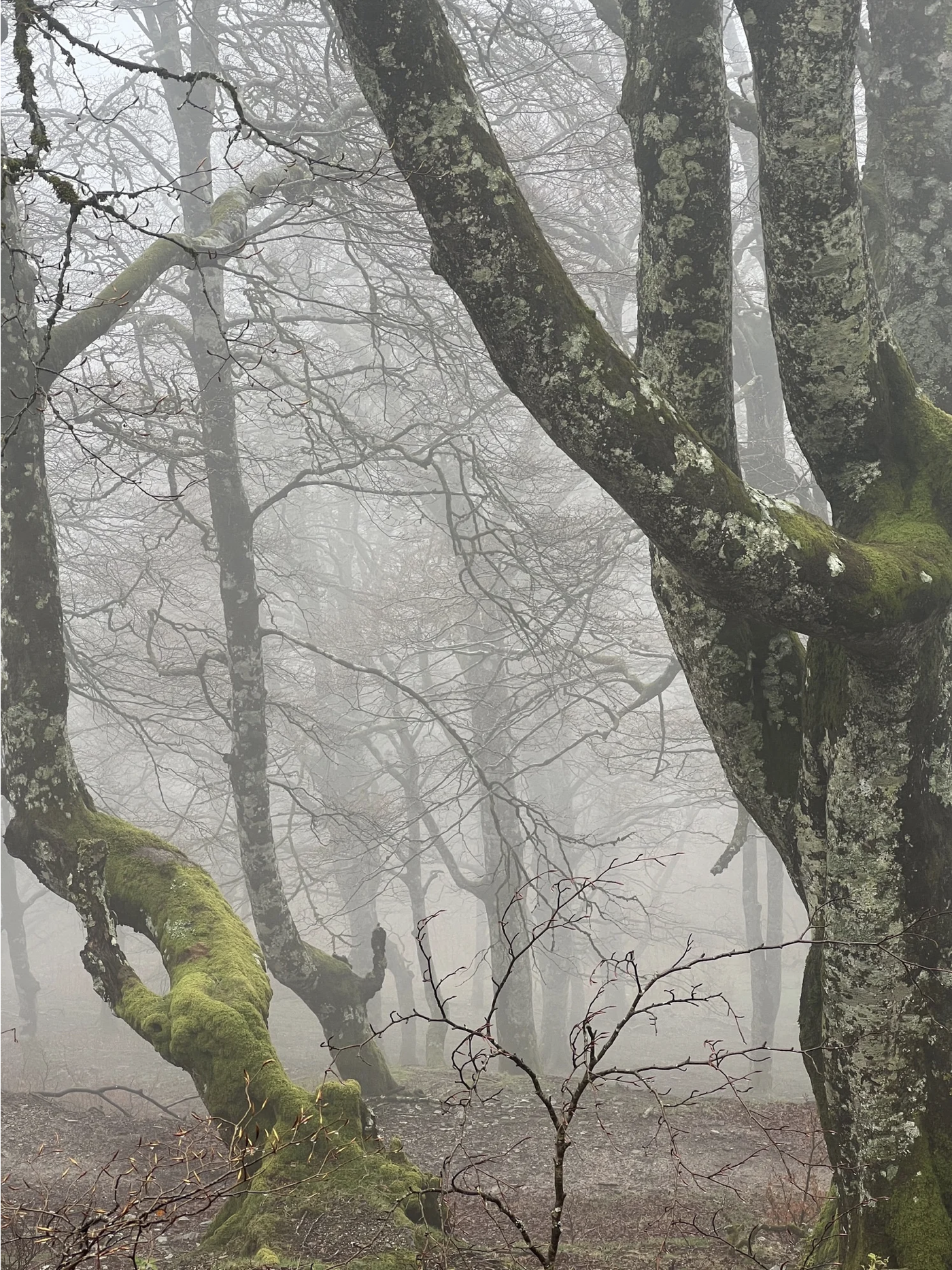 Screenshot 2026-03-09 at 5.03.55 PM.png