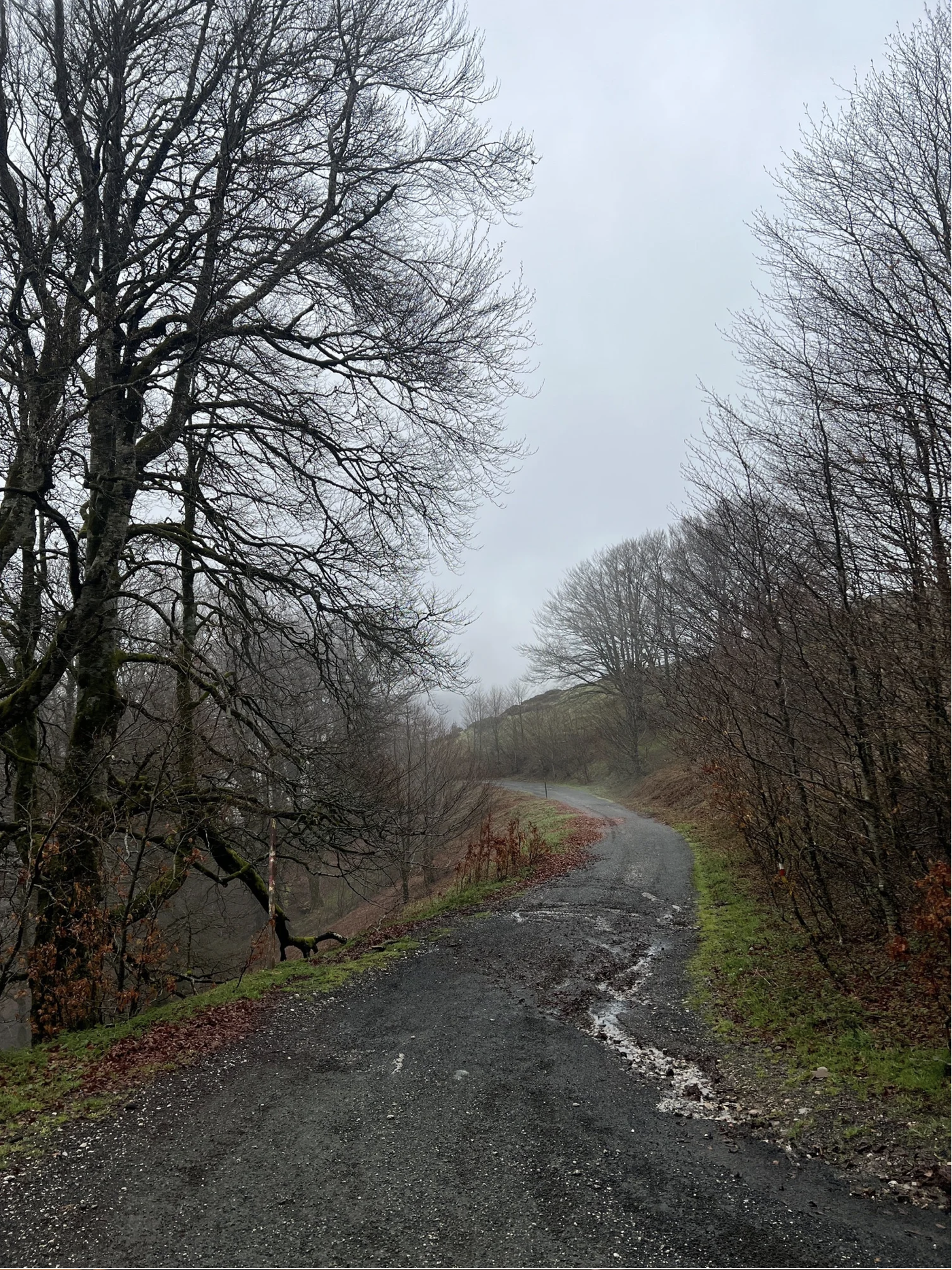 Screenshot 2026-03-09 at 5.04.12 PM.png