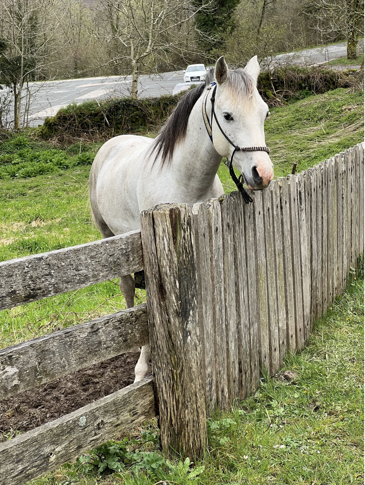 Screenshot 2026-03-09 at 5.04.45 PM.png