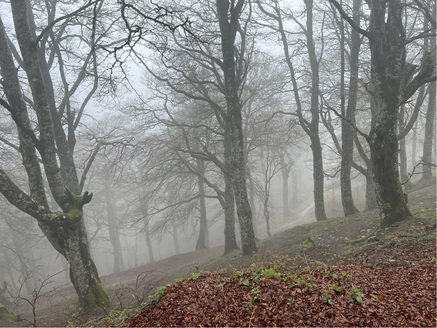 Screenshot 2026-03-09 at 5.05.34 PM.png