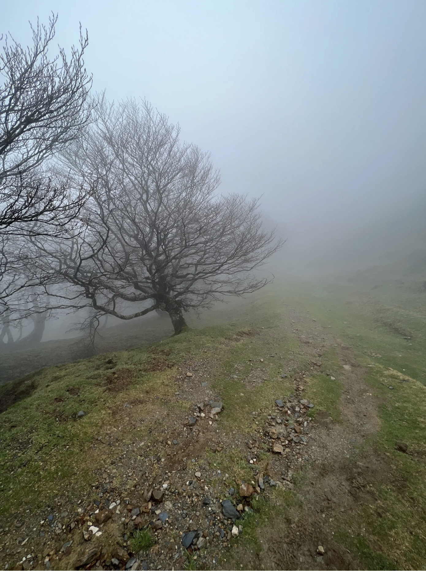 Screenshot 2026-03-09 at 5.05.51 PM.png