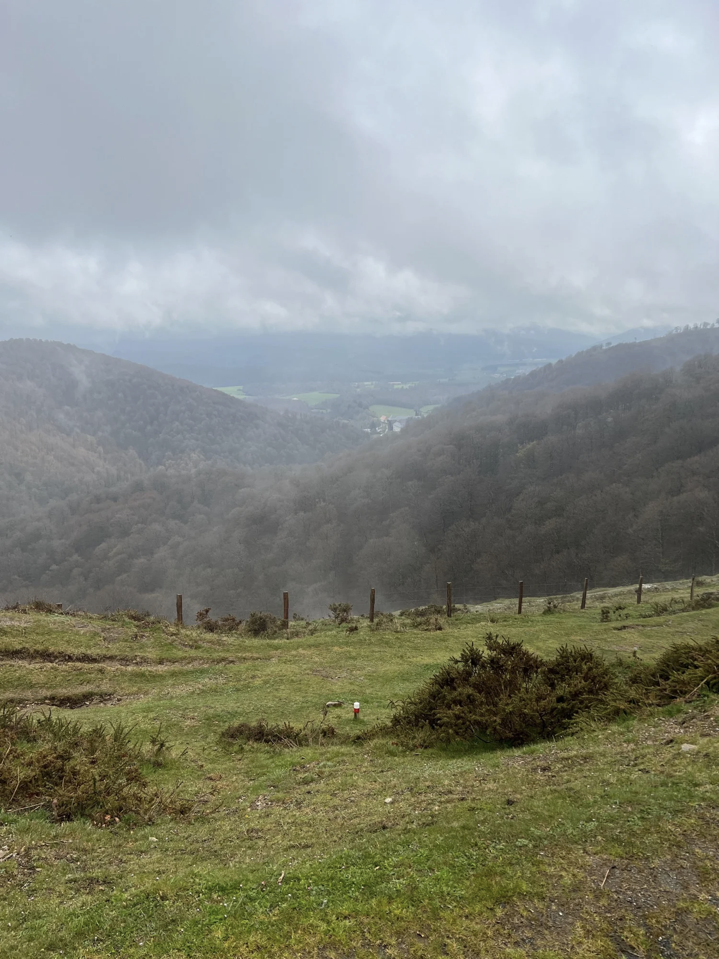 Screenshot 2026-03-09 at 5.06.02 PM.png