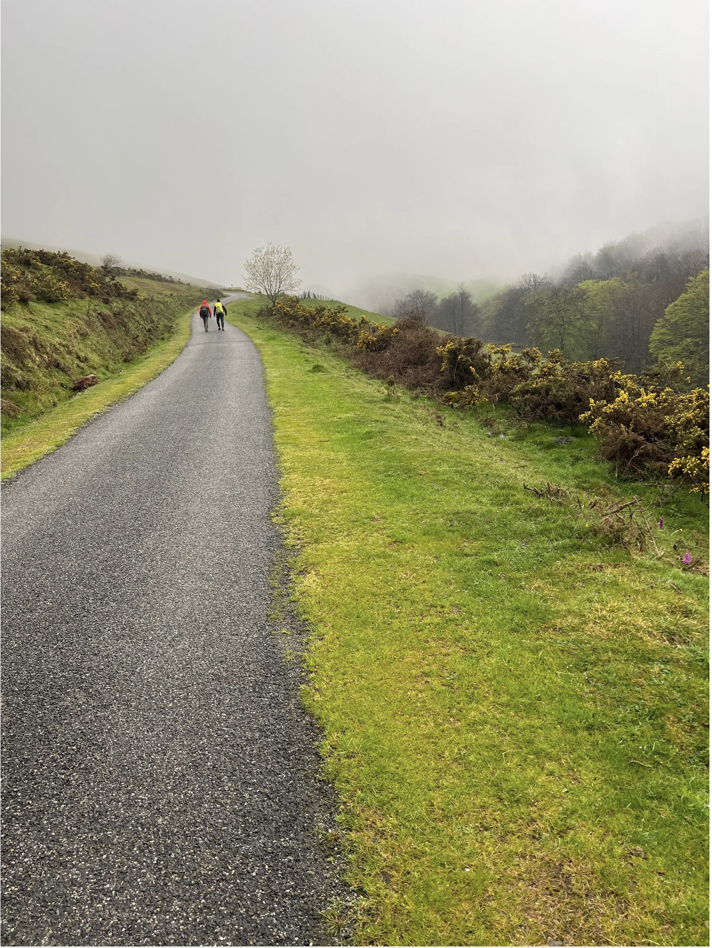 Screenshot 2026-03-09 at 5.06.30 PM.png