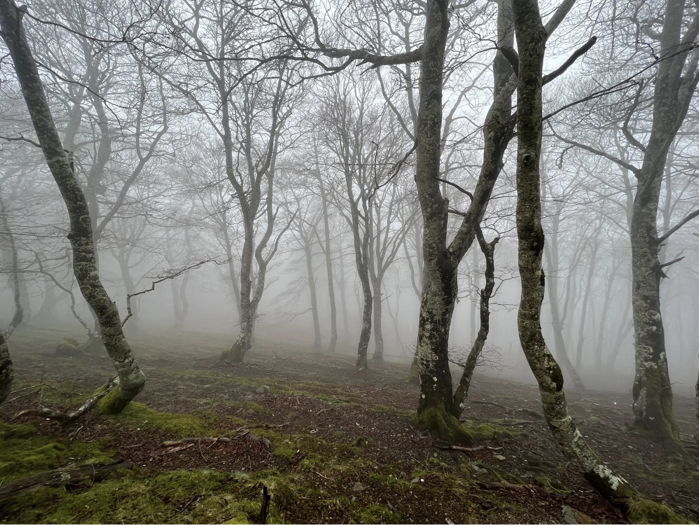 Screenshot 2026-03-09 at 5.06.57 PM.png