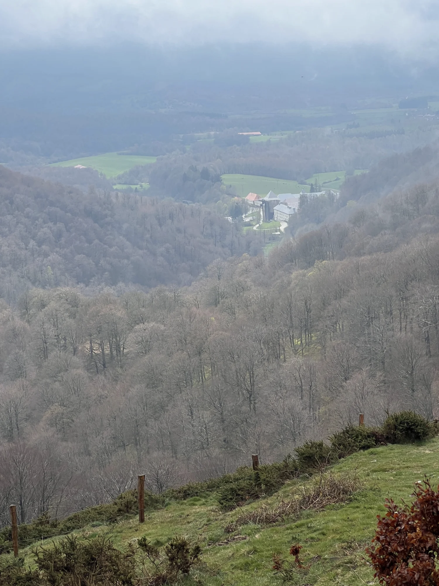 Screenshot 2026-03-09 at 5.07.46 PM.png