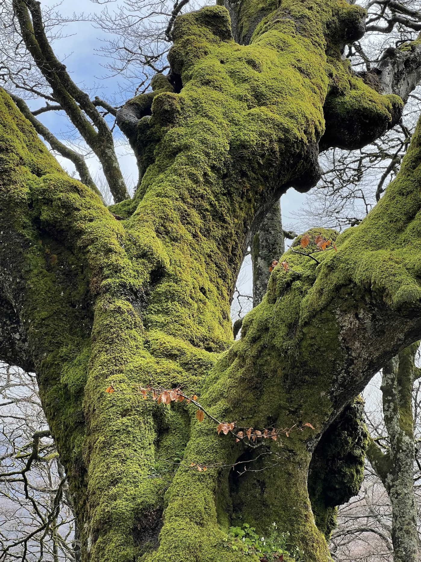 Screenshot 2026-03-09 at 5.08.00 PM.png