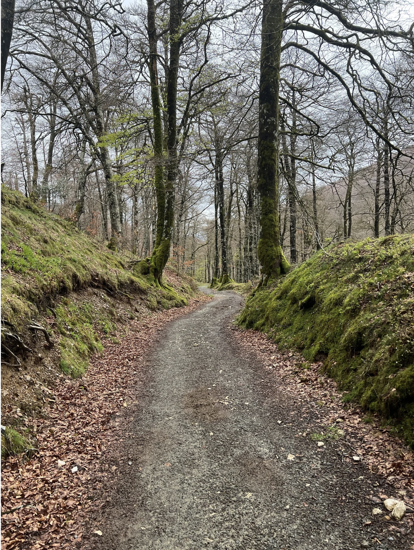 Screenshot 2026-03-09 at 5.08.13 PM.png