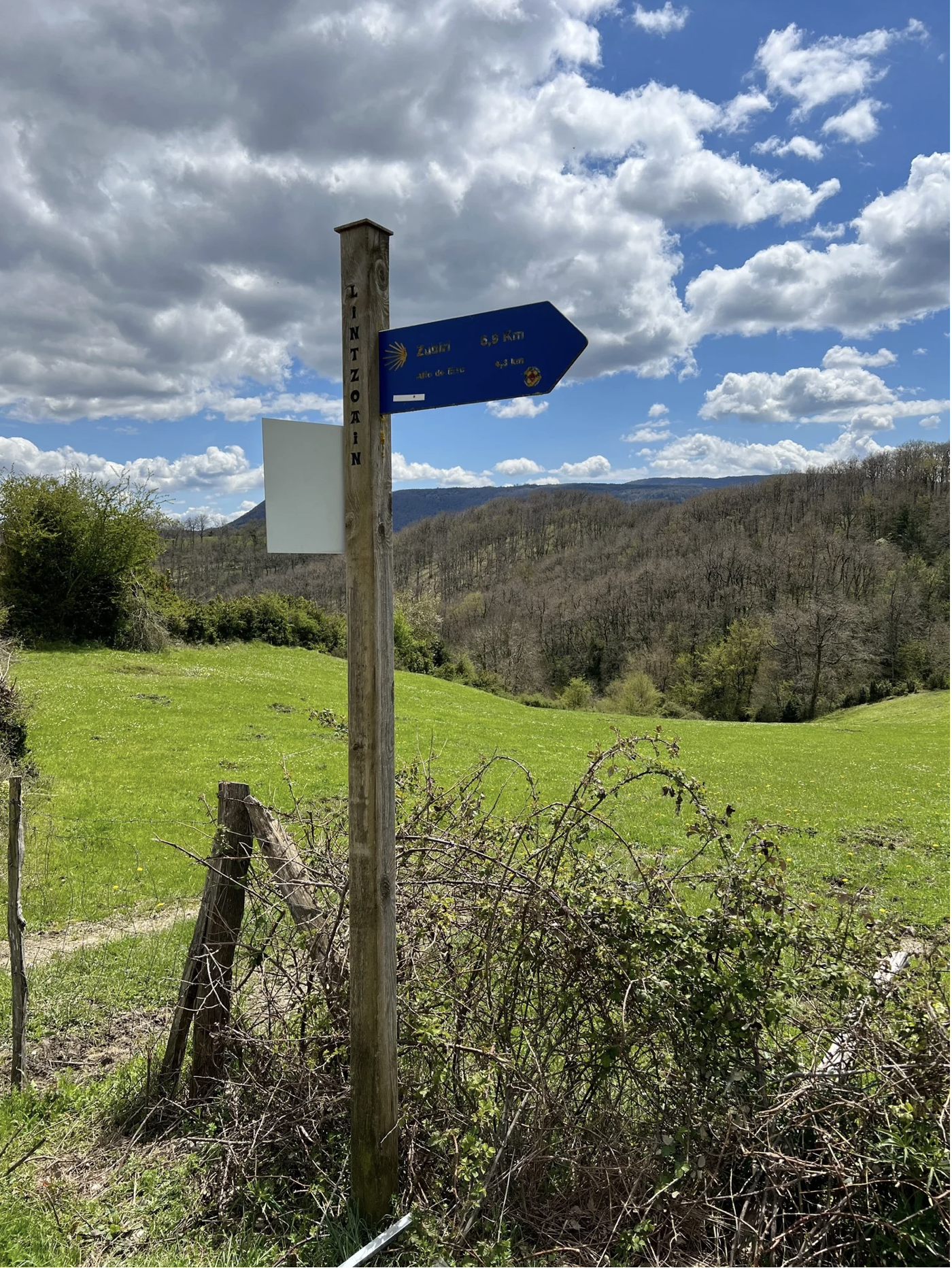 Screenshot 2026-03-09 at 5.28.06 PM.png