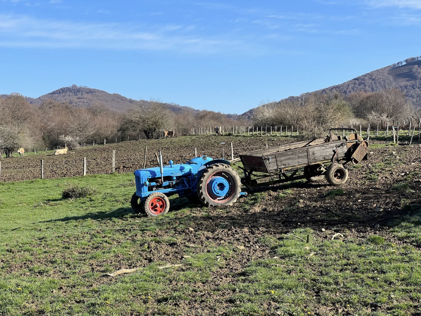 Screenshot 2026-03-09 at 5.28.28 PM.png