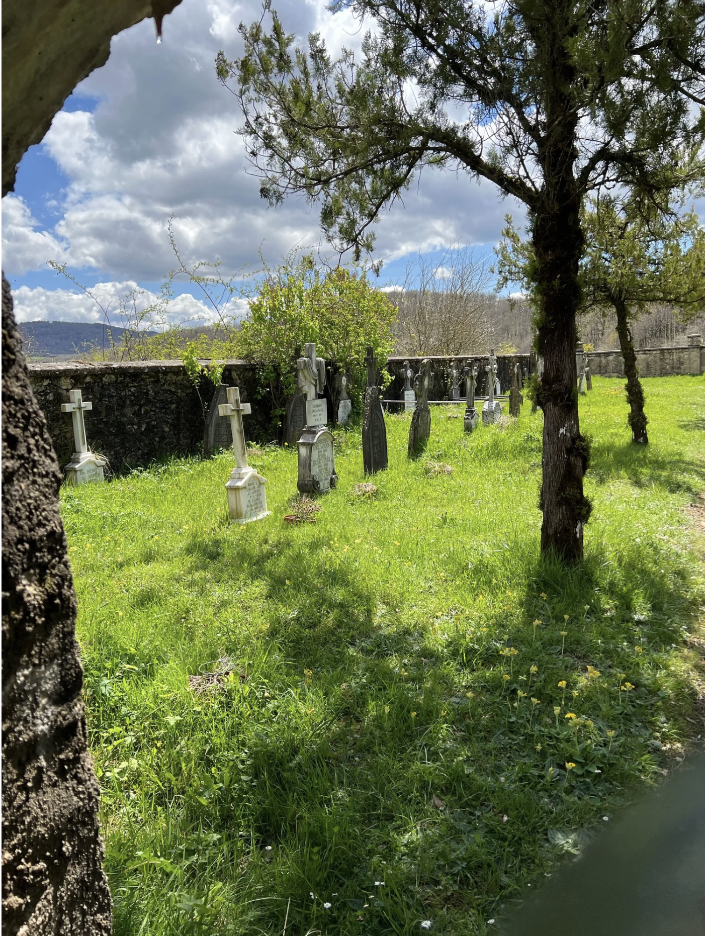 Screenshot 2026-03-09 at 5.29.37 PM.png