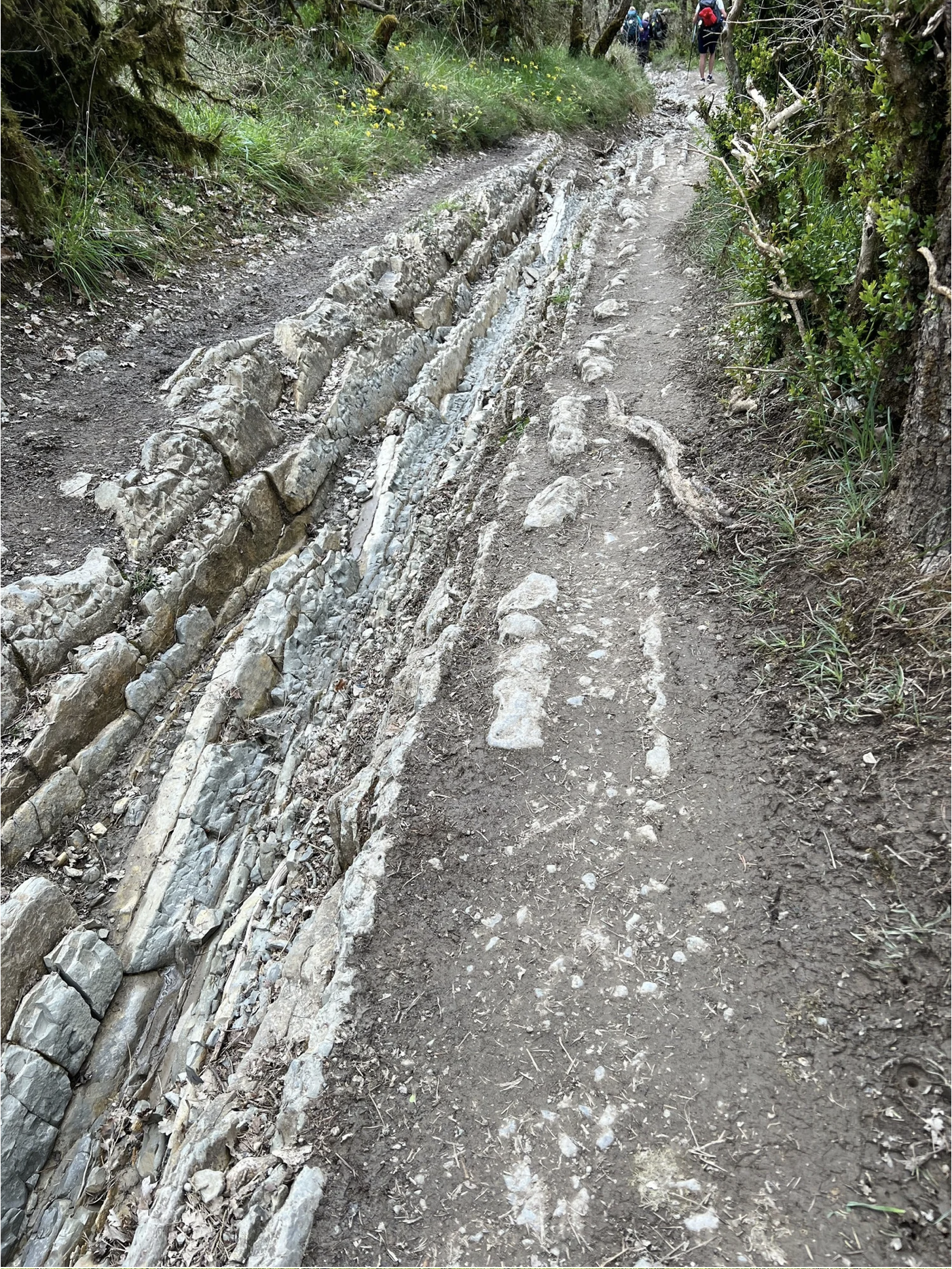 Screenshot 2026-03-09 at 5.30.59 PM.png