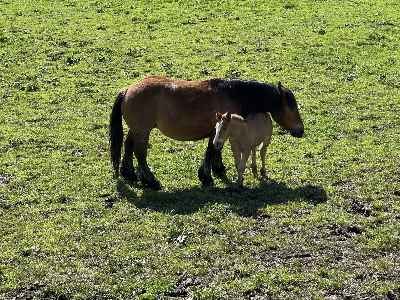 Screenshot 2026-03-09 at 5.31.14 PM.png