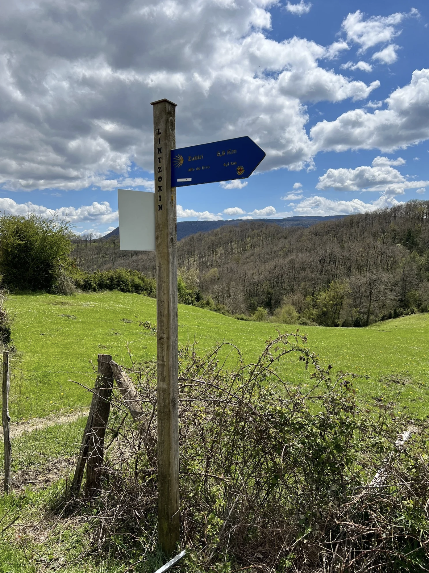 Day 3 Roncesvalles to Zubiri