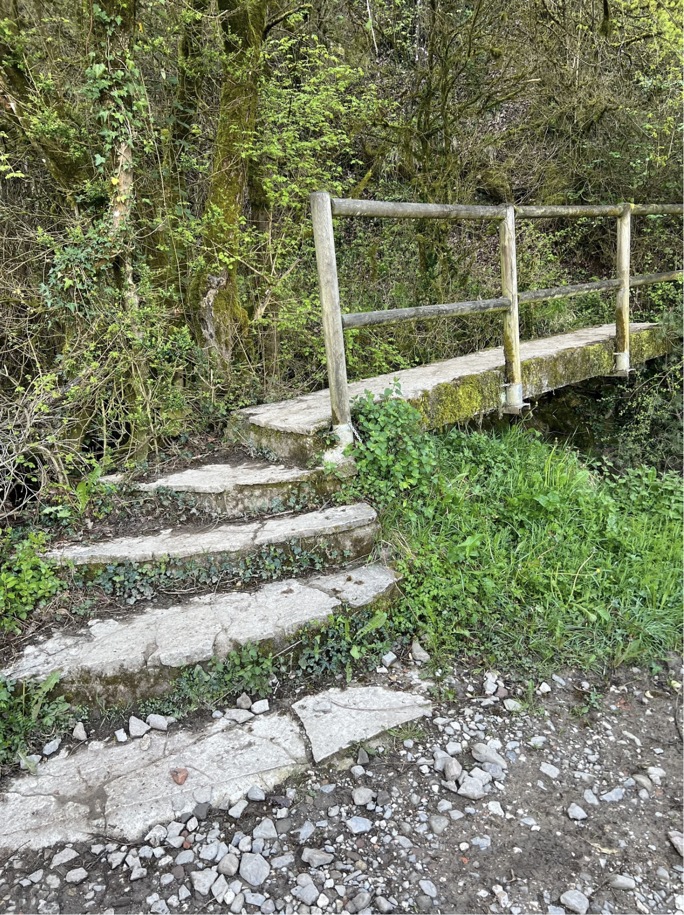 Screenshot 2026-03-09 at 5.40.43 PM.png