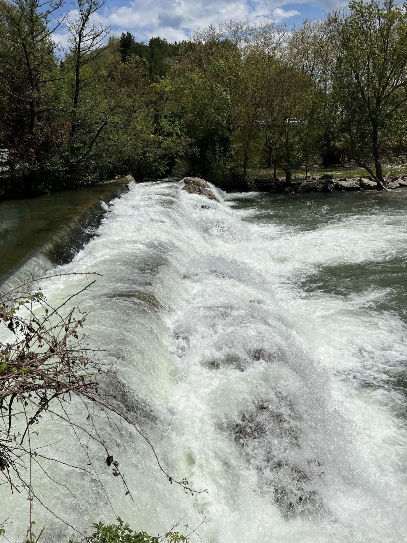 Screenshot 2026-03-09 at 5.42.08 PM.png