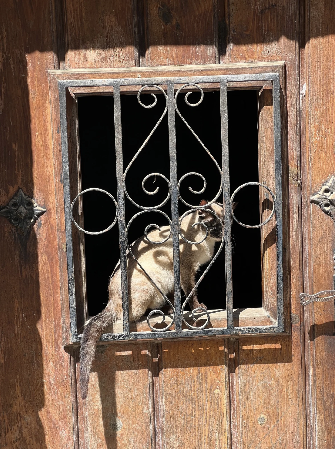 Screenshot 2026-03-09 at 5.42.36 PM.png