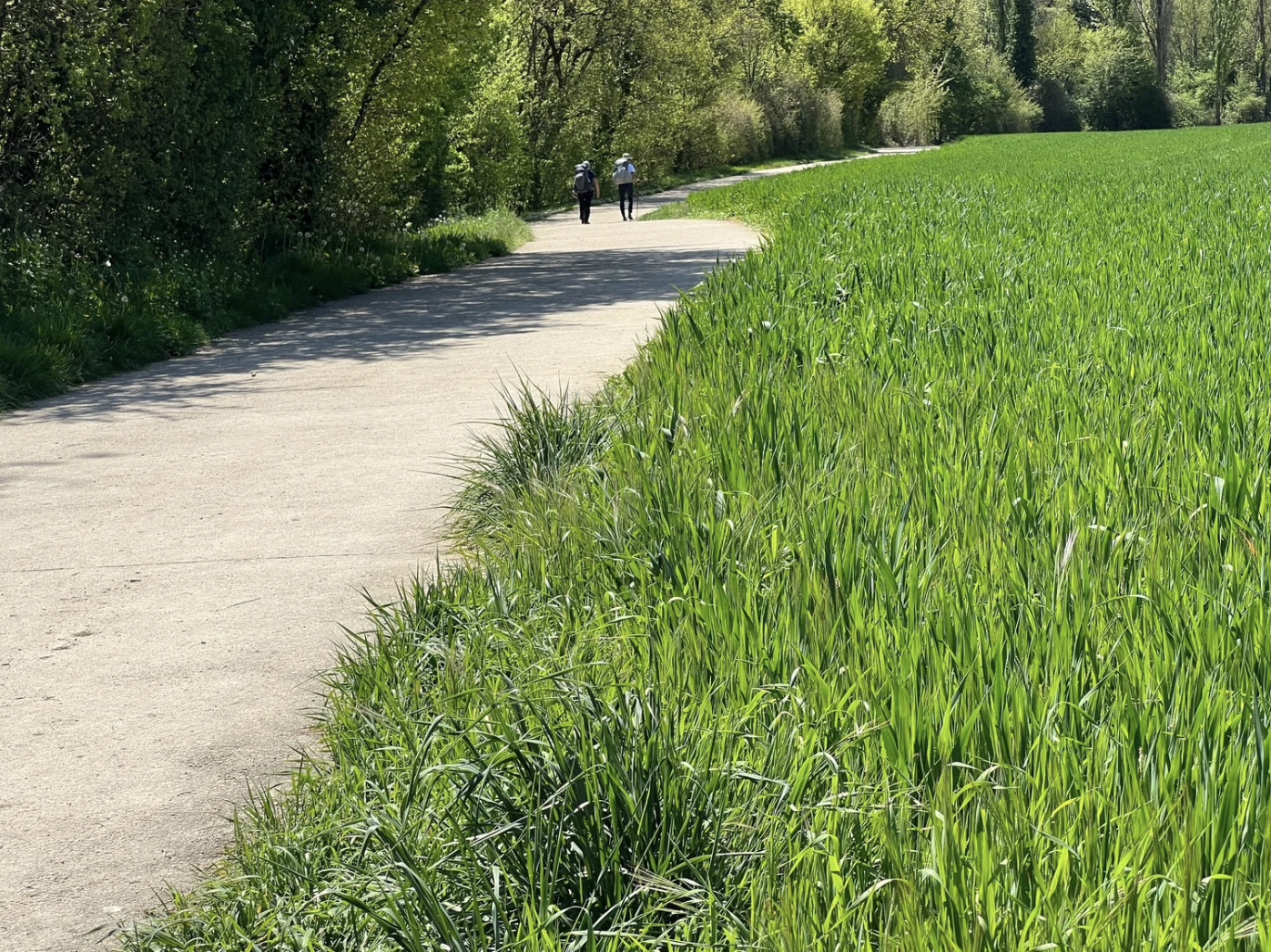 Screenshot 2026-03-09 at 5.43.48 PM.png