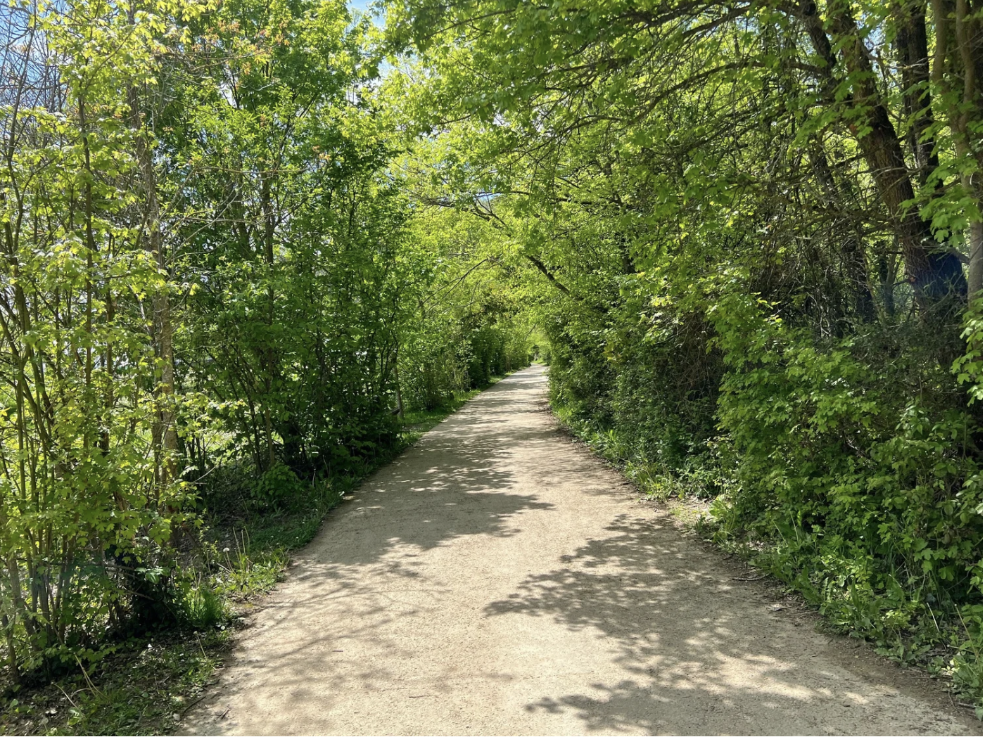 Screenshot 2026-03-09 at 5.44.19 PM.png