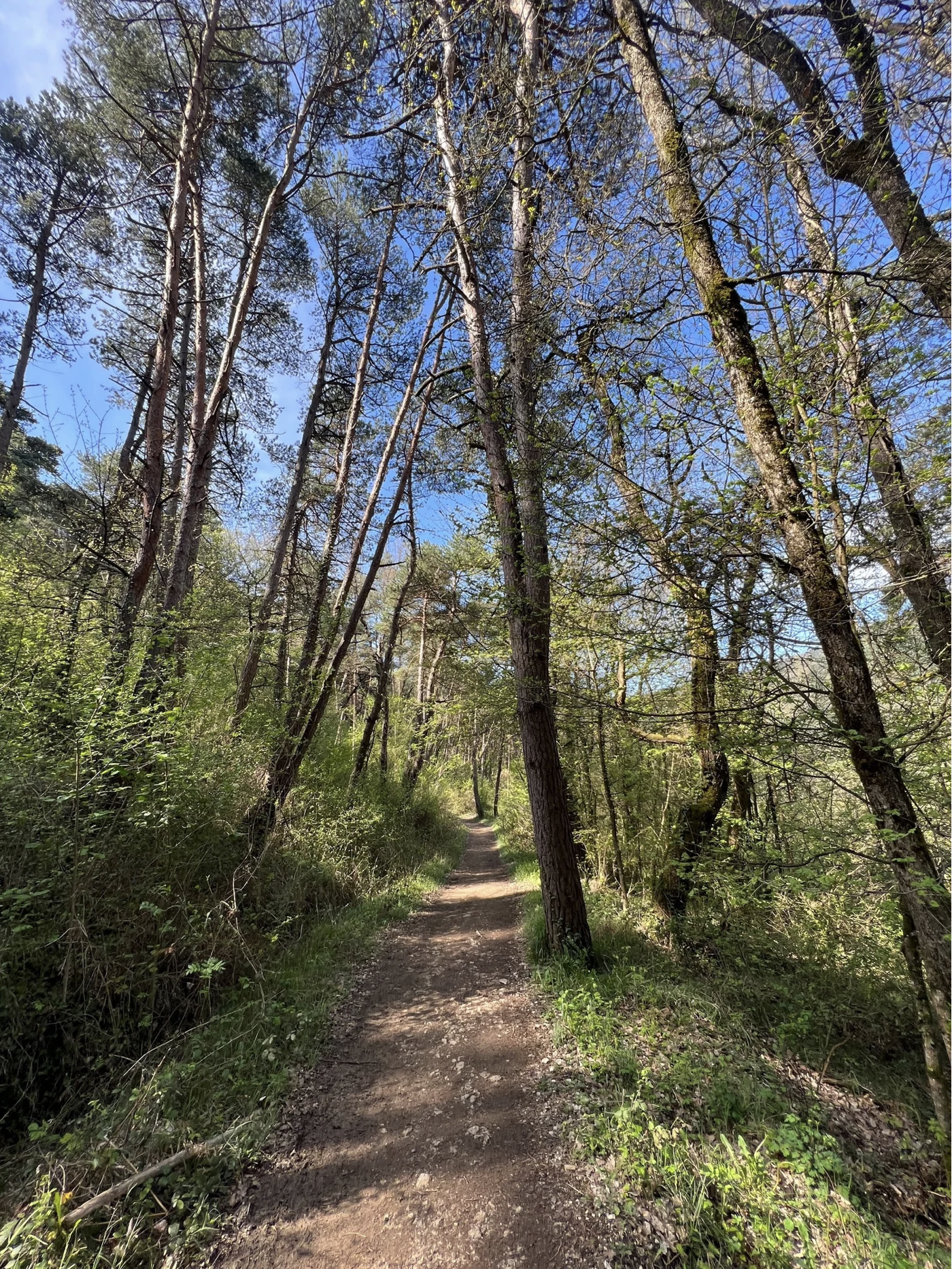 Screenshot 2026-03-09 at 5.47.39 PM.png