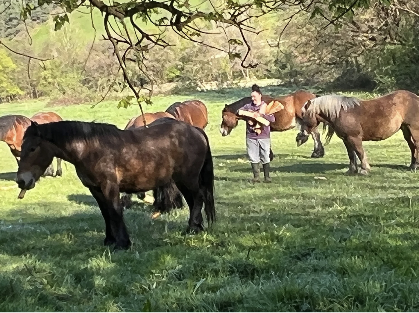 Screenshot 2026-03-09 at 5.48.52 PM.png