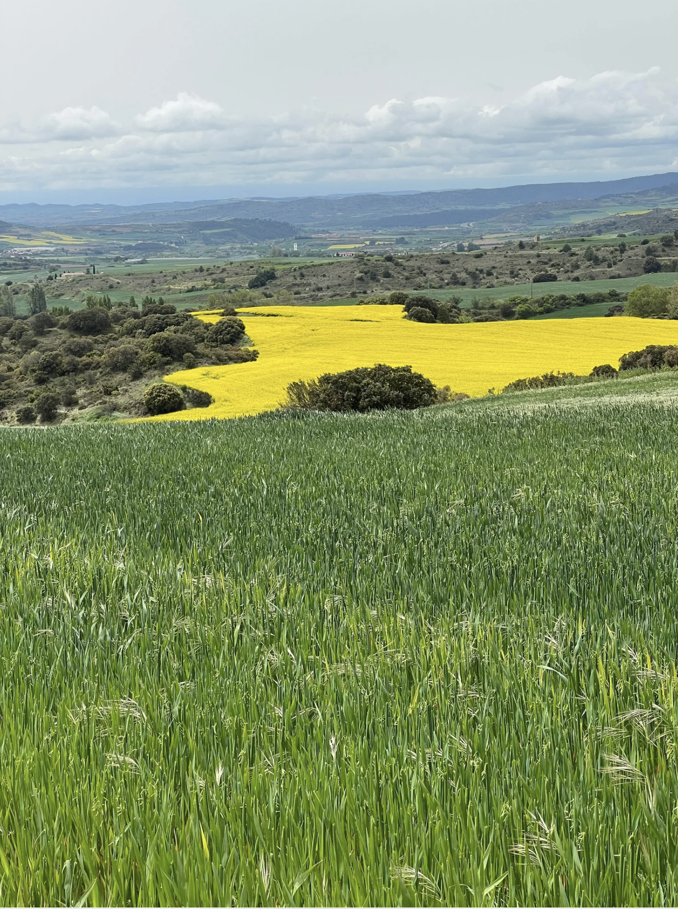 Screenshot 2026-03-09 at 7.57.07 PM.png