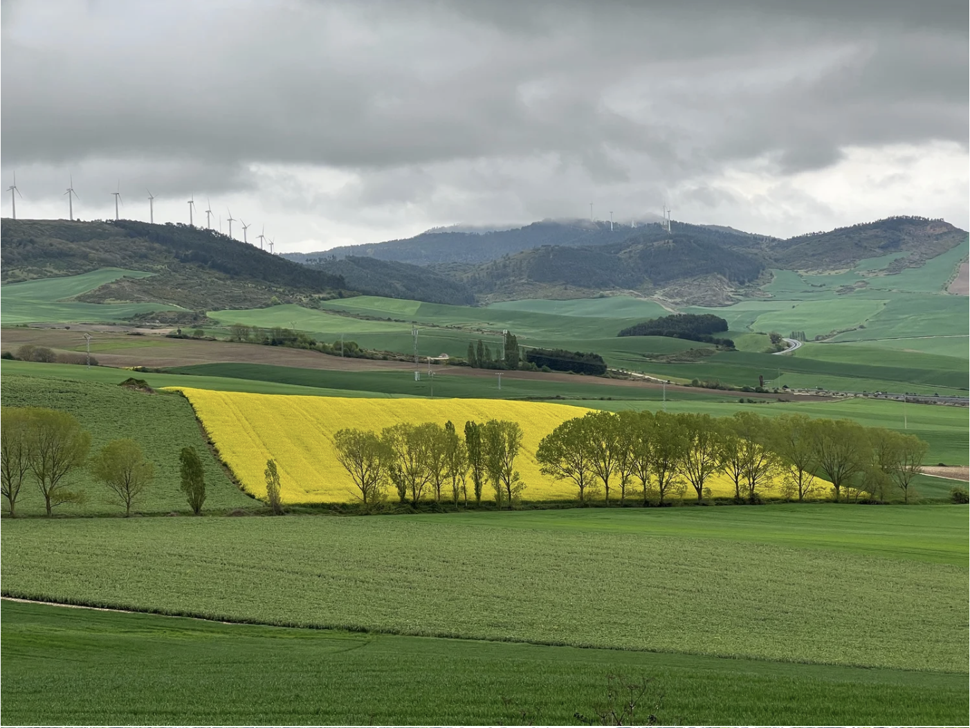 Screenshot 2026-03-09 at 7.57.56 PM.png