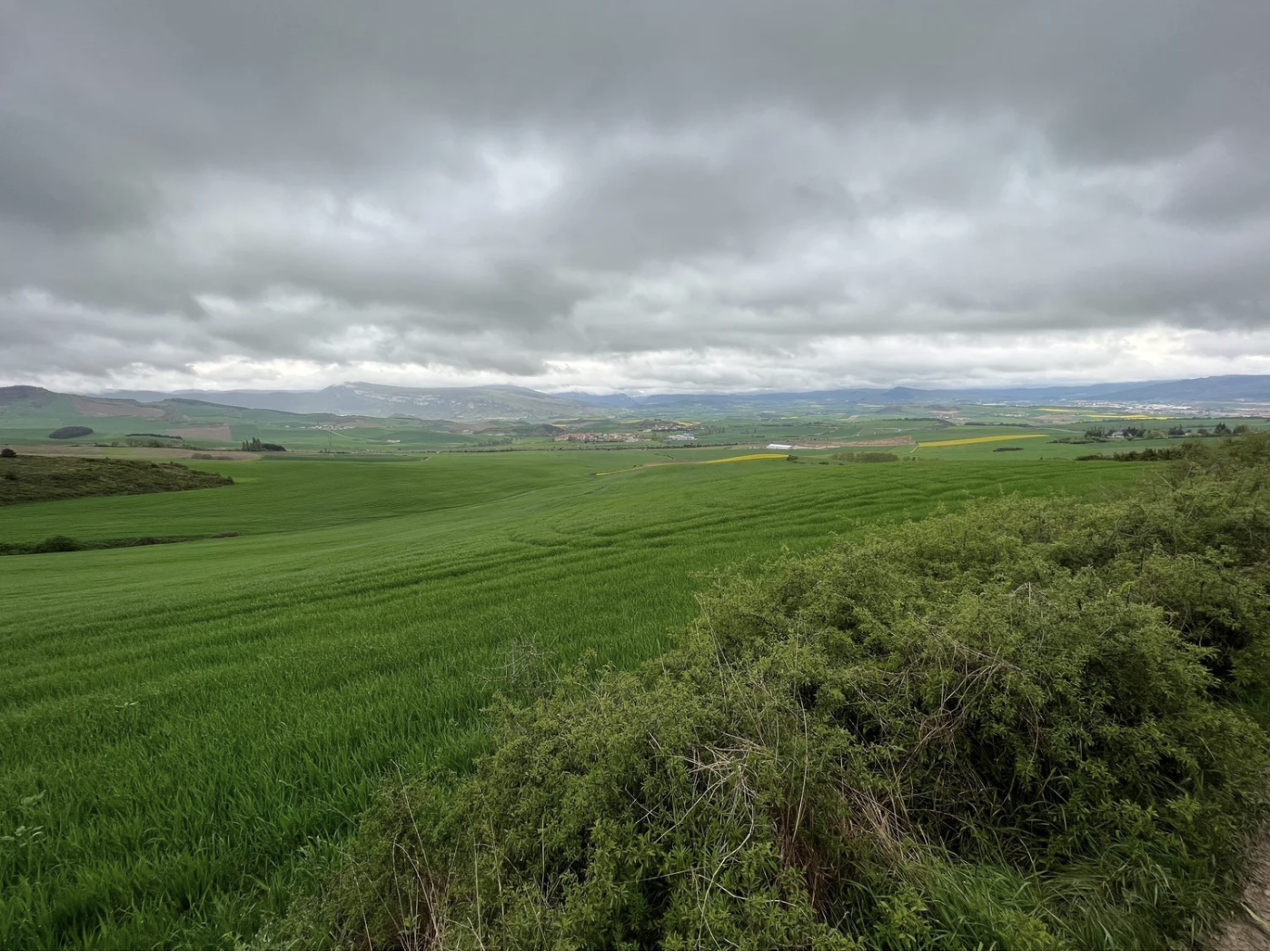 Screenshot 2026-03-09 at 7.58.18 PM.png