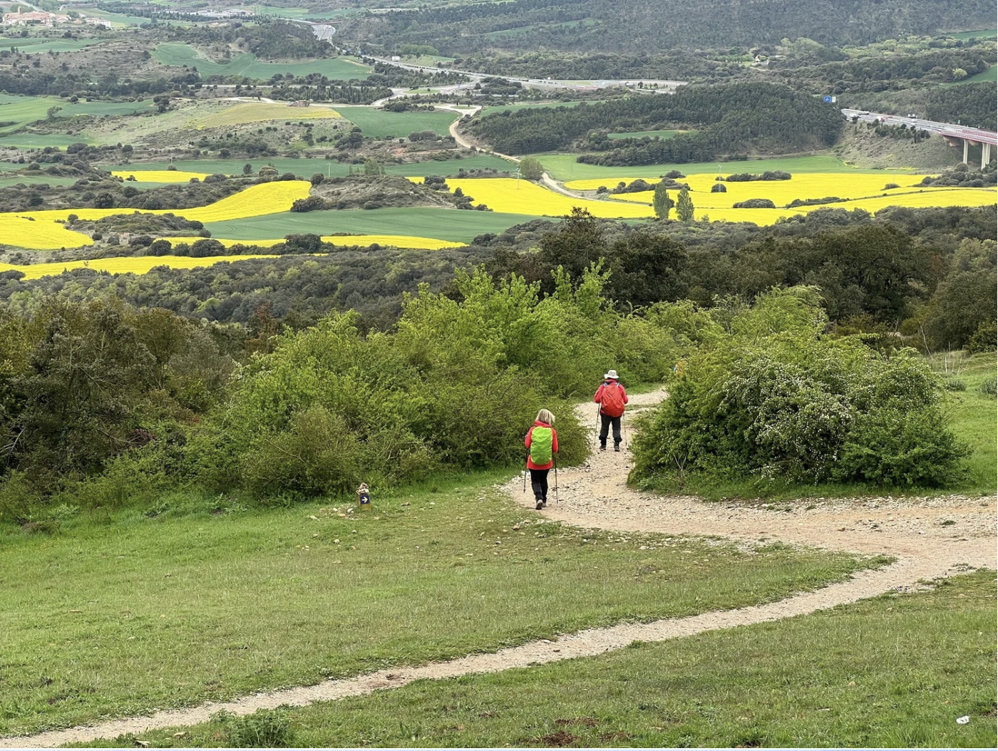 Screenshot 2026-03-09 at 7.59.59 PM.png