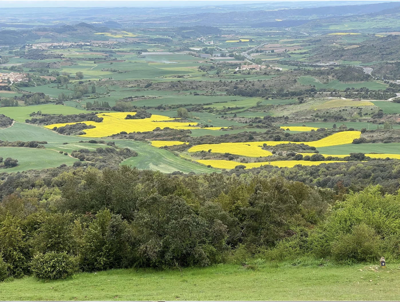 Screenshot 2026-03-09 at 8.00.12 PM.png