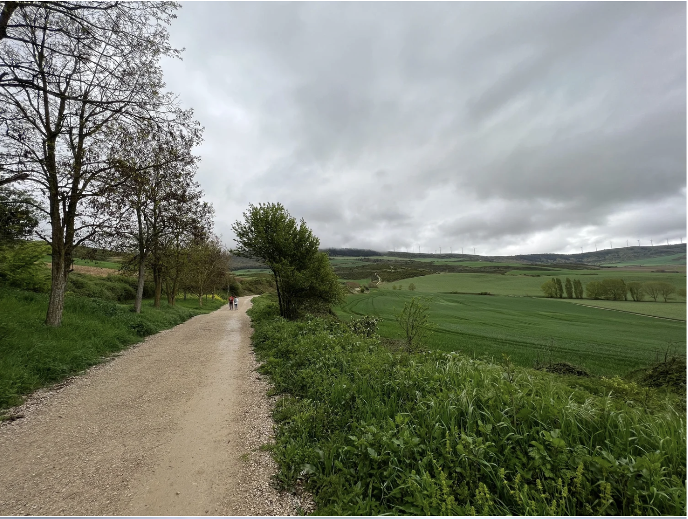 Screenshot 2026-03-09 at 8.00.34 PM.png