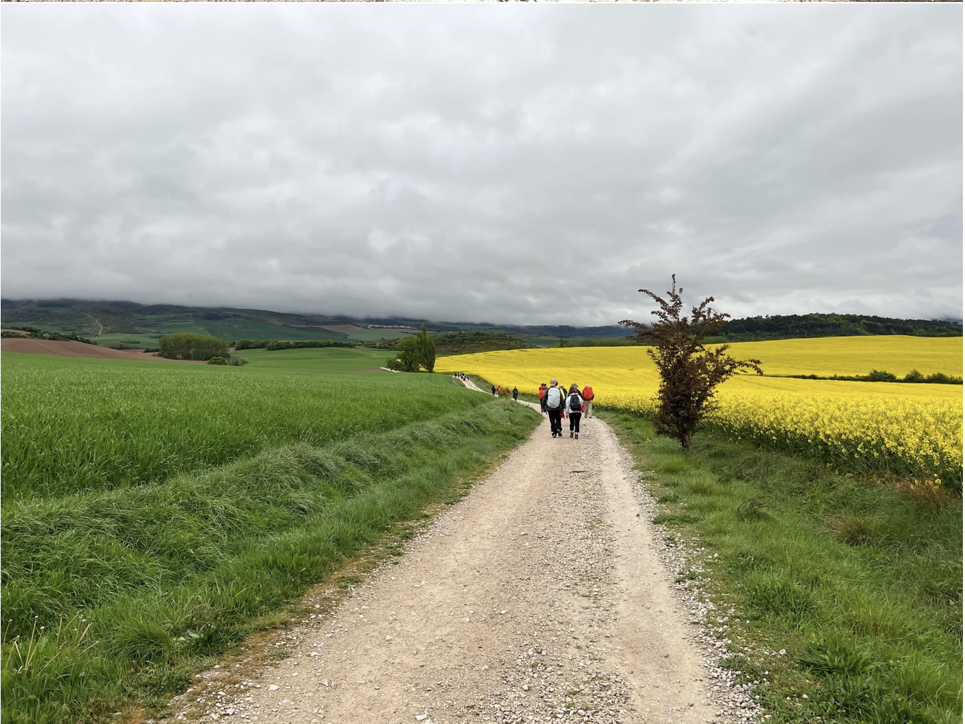 Screenshot 2026-03-09 at 8.01.21 PM.png