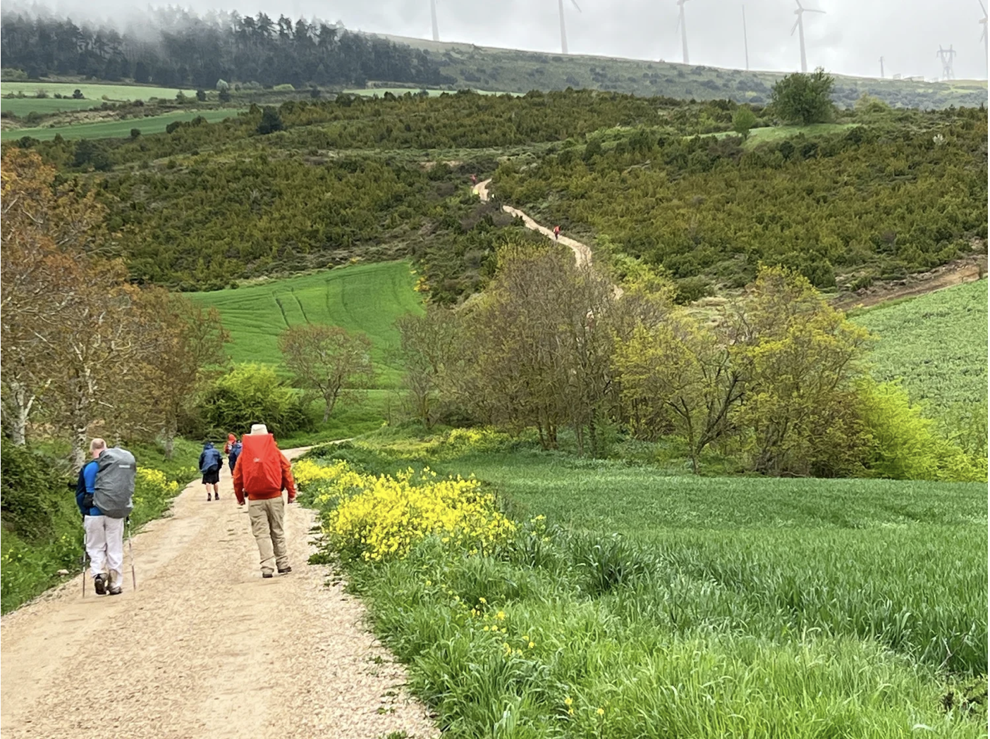 Screenshot 2026-03-09 at 8.01.44 PM.png